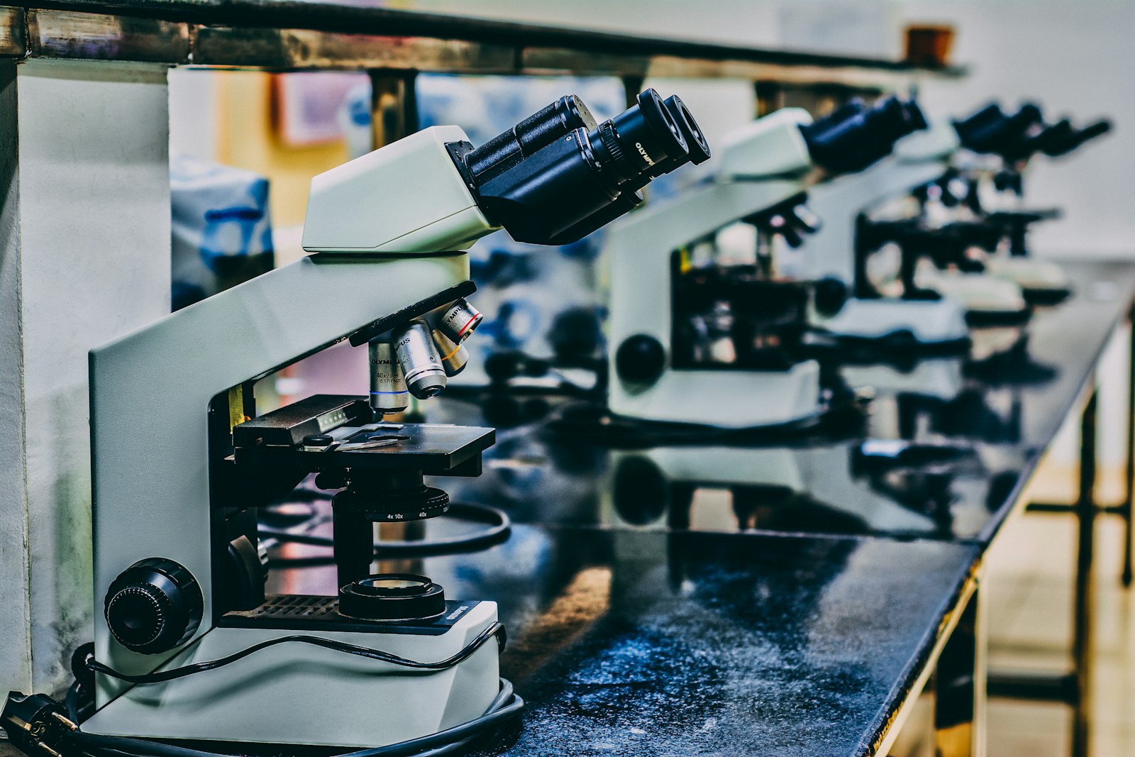 Microscopes arranged on a laboratory bench