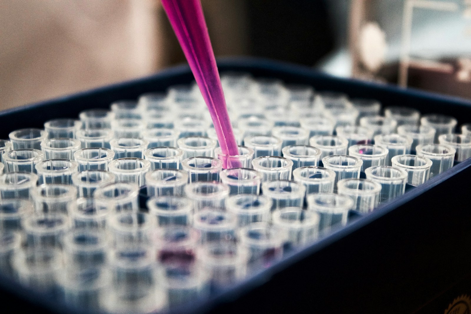 Pipette positioned over laboratory sample wells