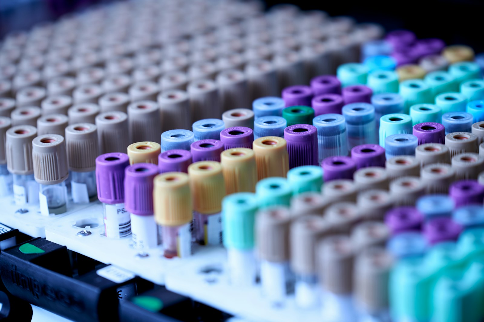 Color-coded laboratory sample tubes arranged by batch